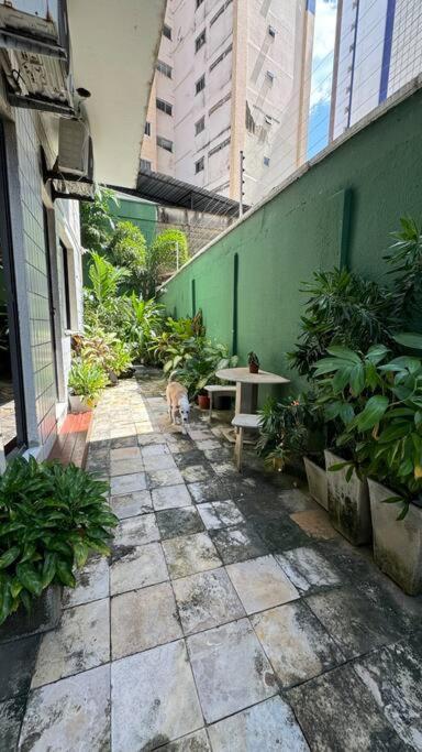 Апартаменти Jardim Iracema Форталеза Екстер'єр фото